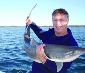 David Kramer with a beautiful South Channel gummy shark. Most of the big sharks taken in winter are breeding females and should be released (image courtesy of David Kramer).